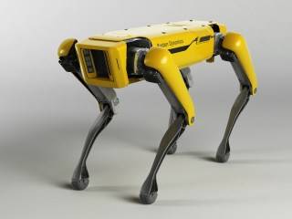 diy robot dog