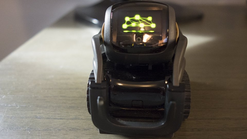 Vector is still "alive" after Anki closing - Personal Robots