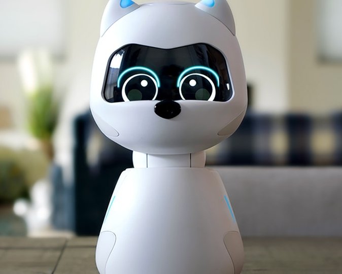 kiki-social-robot-robotic-pet
