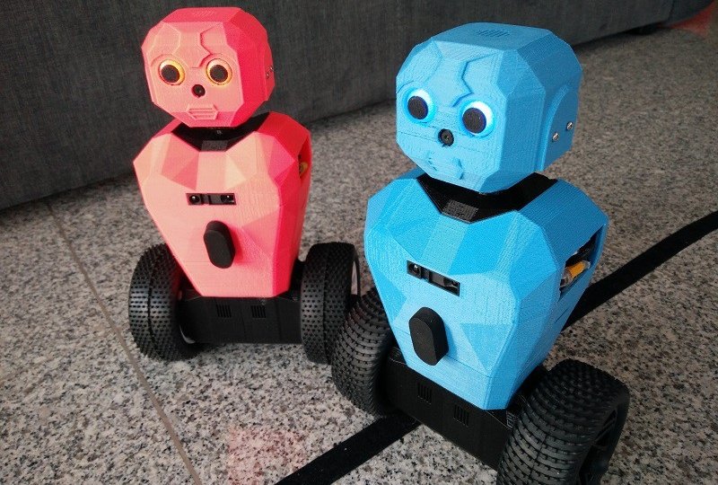 RS5 raspberry pi robot