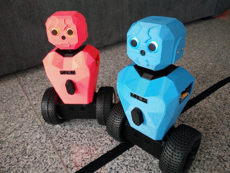 RS5 - 3D printed Raspberry - Personal Robots