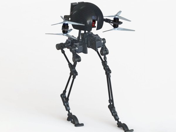 leonardo-flying-robot
