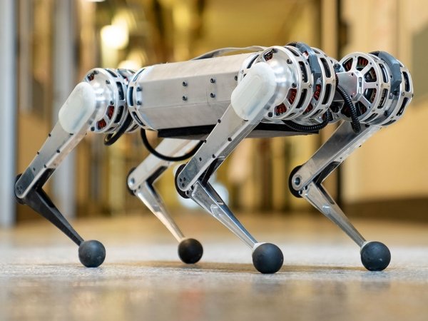 mini-cheetah-robot-dog