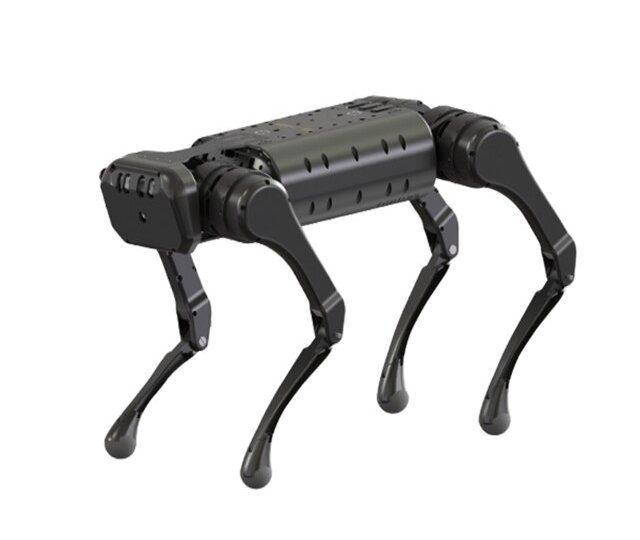 Unitree-A1-quadruped-robot-fighing