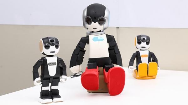 robi-robohon-smartphone-robot