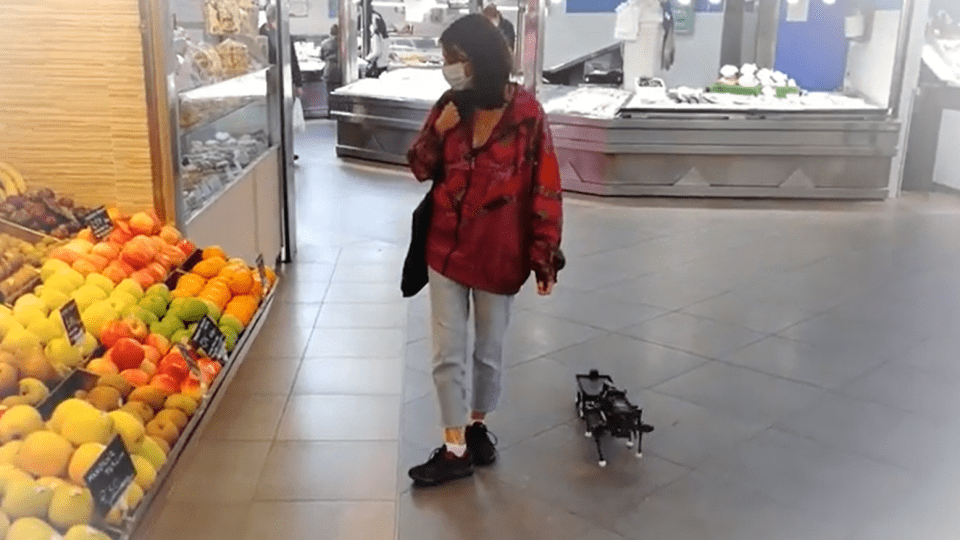 chop-robot-walks-with-you