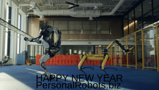 personalrobots.biz-happy-new-year